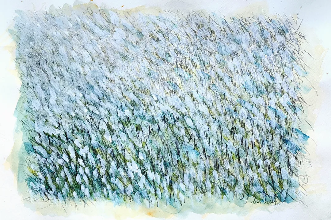 Picture