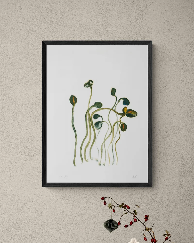 Poppies