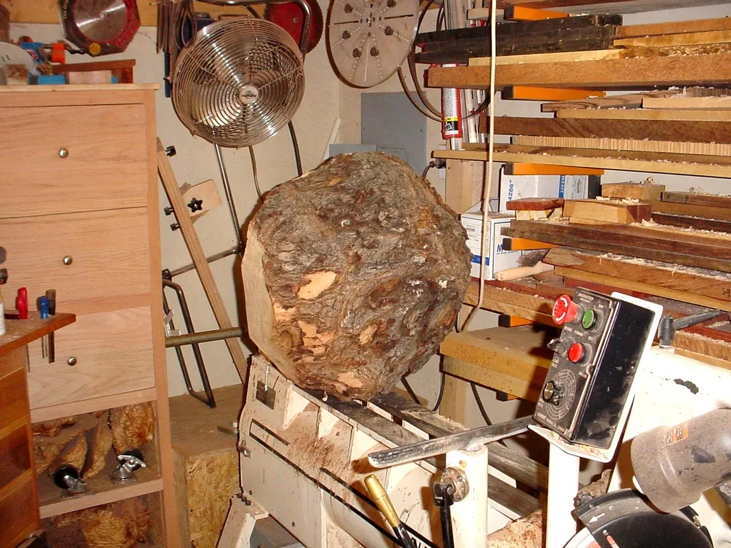 Post Oak Burl on Lathe