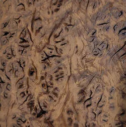 Image description