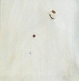 Image description