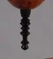carousel chooser