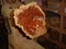 carousel chooser