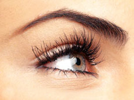 Other Services: Lash and Brow Tinting, Massage, Hair Removal