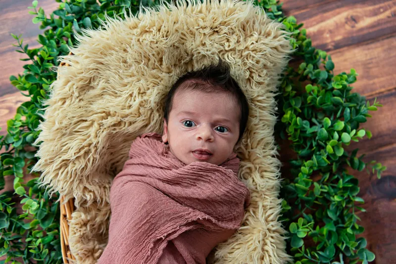 color photo of a baby newborn girl on a fur rug with greenery around her head