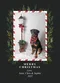carousel chooser