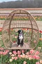 carousel chooser