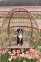 carousel chooser