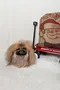 carousel chooser