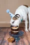 carousel chooser