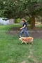 carousel chooser