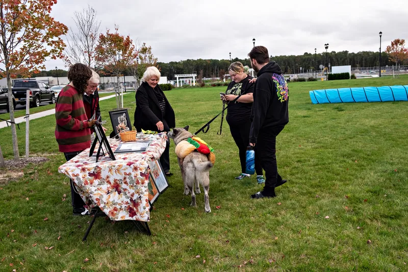 photo of people and dogs enjoying a Halloween dog costume parade