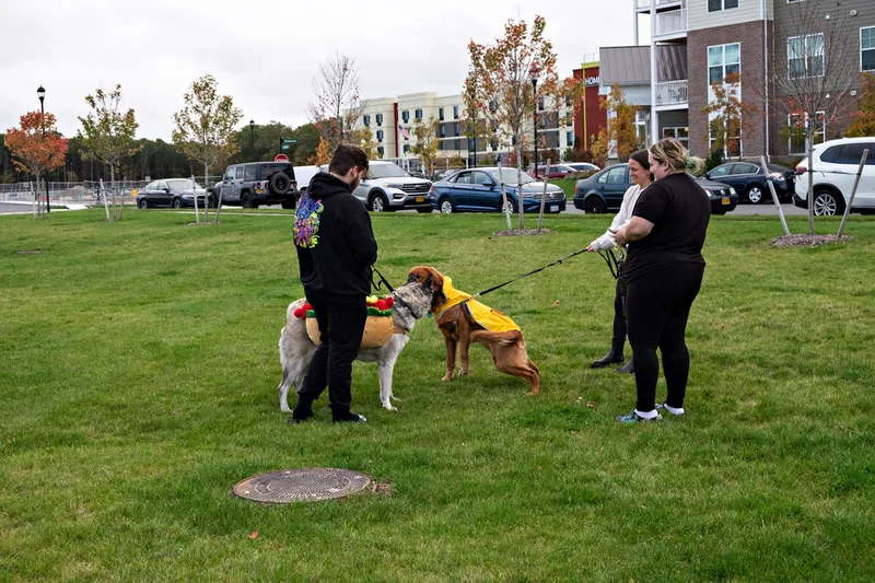 photo of people and dogs enjoying a Halloween dog costume parade