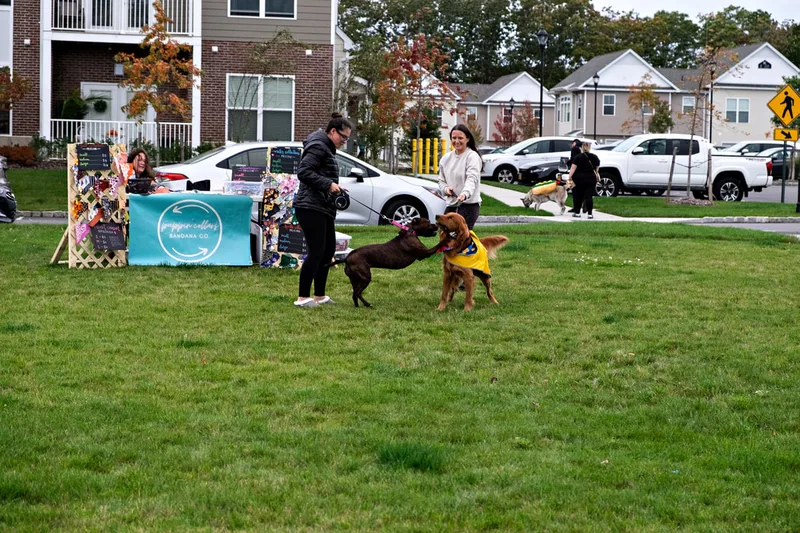 photo of people and dogs enjoying a Halloween dog costume parade