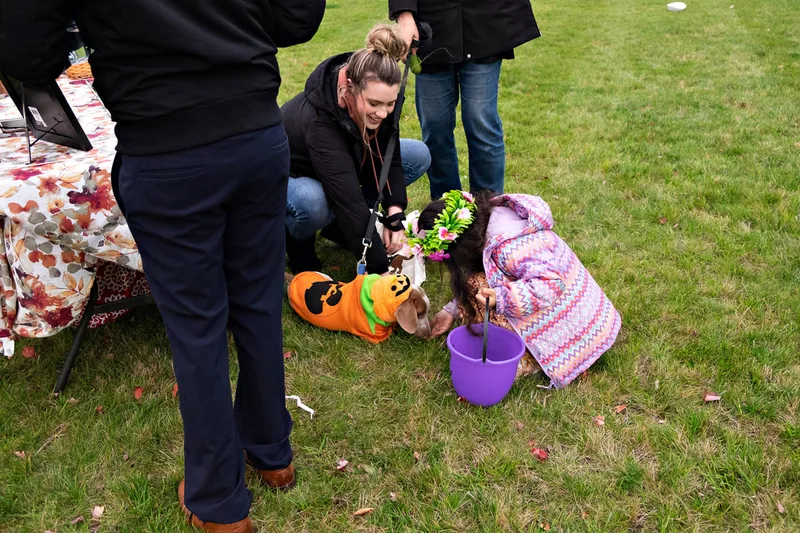 photo of people and dogs enjoying a Halloween dog costume parade