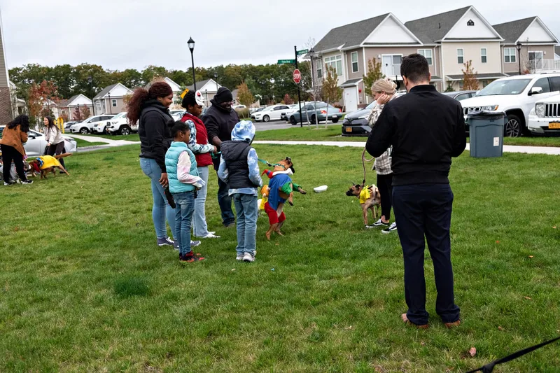 photo of people and dogs enjoying a Halloween dog costume parade