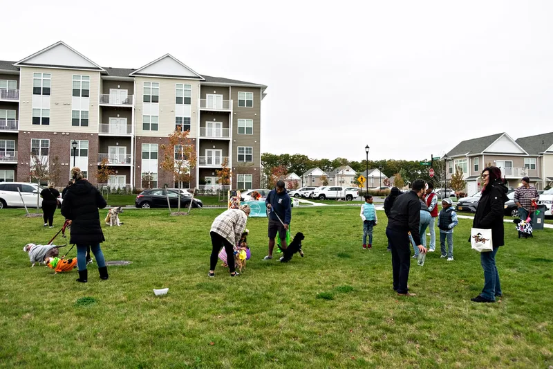 photo of people and dogs enjoying a Halloween dog costume parade