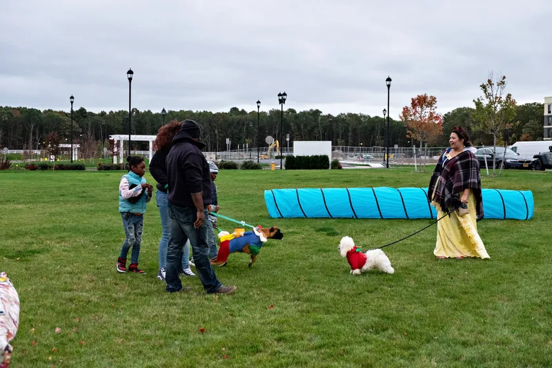 photo of people and dogs enjoying a Halloween dog costume parade