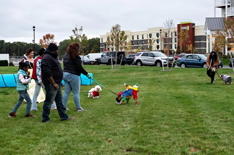 photo of people and dogs enjoying a Halloween dog costume parade