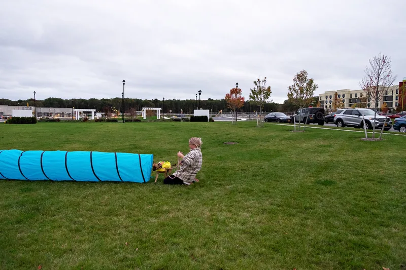 photo of people and dogs enjoying a Halloween dog costume parade