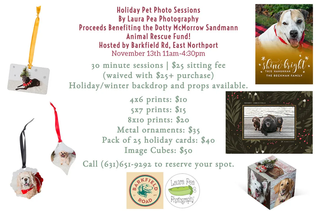 Barkfield Road holiday pet photo session event flier