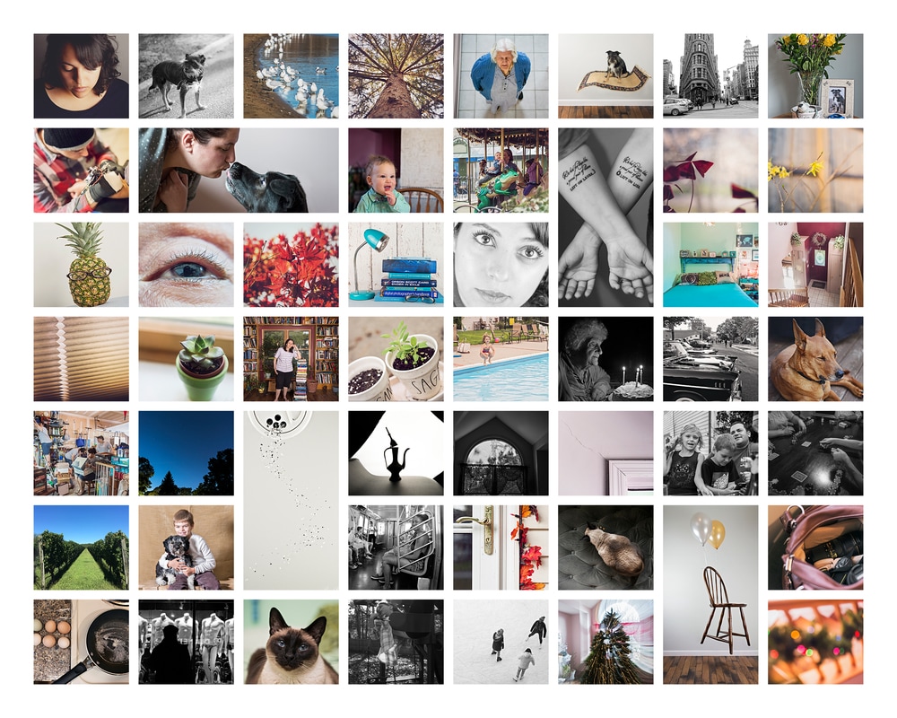 laura pea photography 52 frames weekly photo project