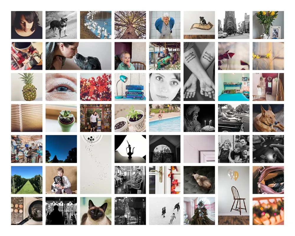 laura pea photography 52 frames weekly photo project