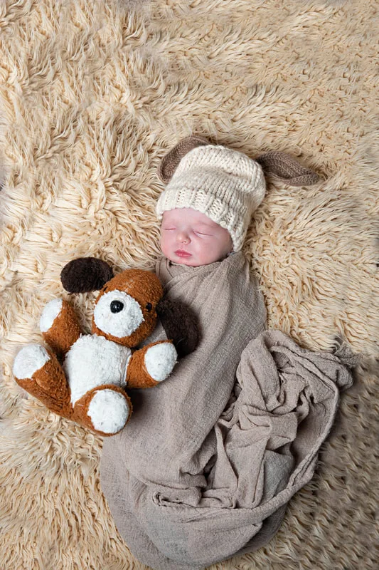 Color photo of a newborn baby boy in a dog outfit with a dog toy. The photo is by Laura Pea Photography, a Long Island newborn and pet photographer. 