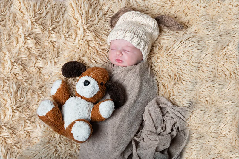 Color photo of a newborn baby boy in a dog outfit with a dog toy. The photo is by Laura Pea Photography, a Long Island newborn and pet photographer. 