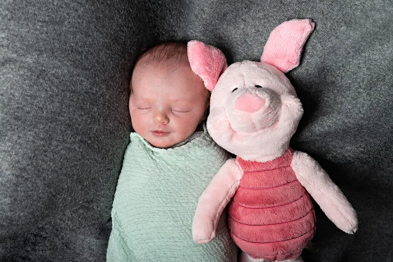 Color photo of a newborn baby boy in a green wrap next to a piglt toy. The photo is by Laura Pea Photography, a Long Island newborn and pet photographer. 