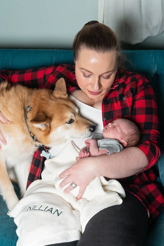 Color photo of a newborn baby boy being held by his mother and being smelled by his husky mix dog. The photo is by Laura Pea Photography, a Long Island newborn and pet photographer. 