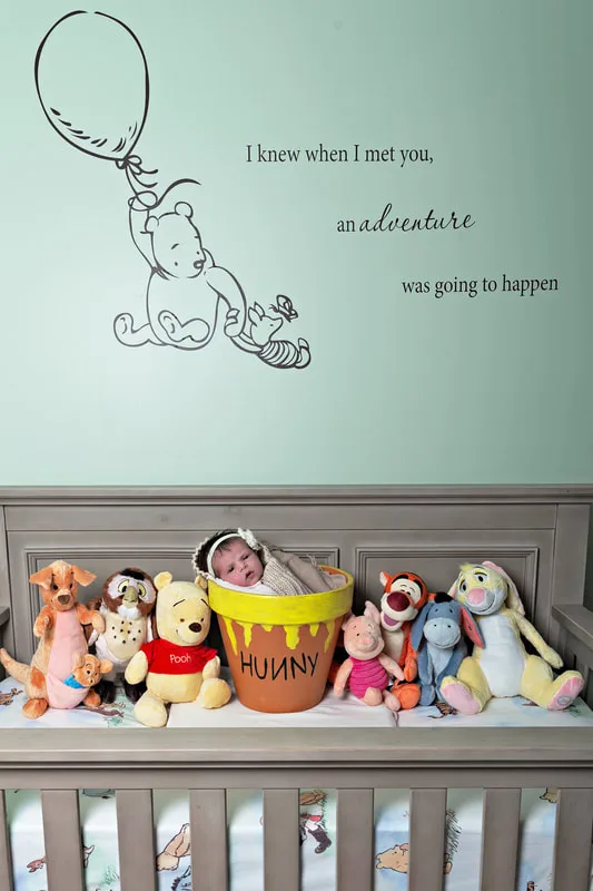 Color photo of a newborn baby girl in a honey pot in her Winnie the Pooh themed nursery surrounded by stuffed animals from the Winnie the Pooh franchise. The photo was taken by Laura Pea Photography, a Long Island newborn and pet photographer. 