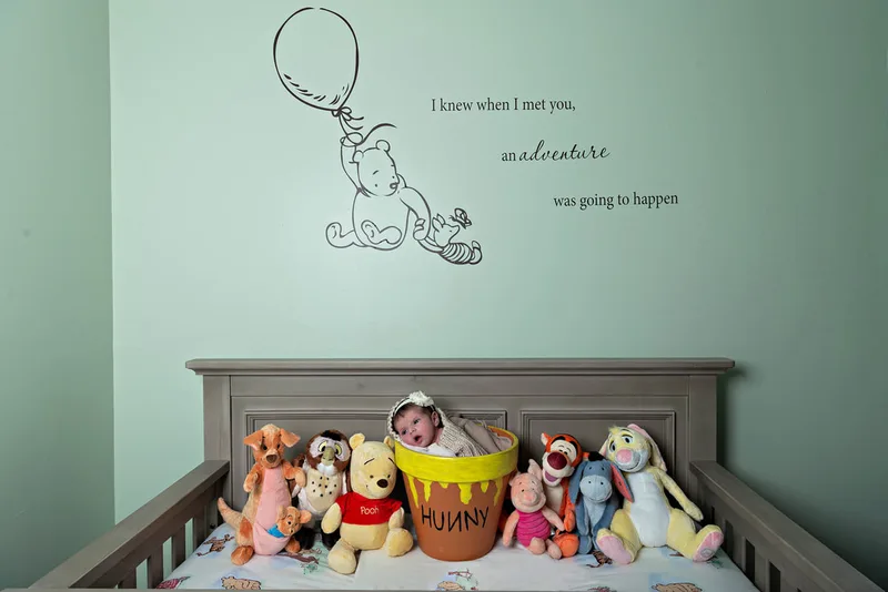 Color photo of a newborn baby girl in a honey pot in her Winnie the Pooh themed nursery surrounded by stuffed animals from the Winnie the Pooh franchise. The photo was taken by Laura Pea Photography, a Long Island newborn and pet photographer. 