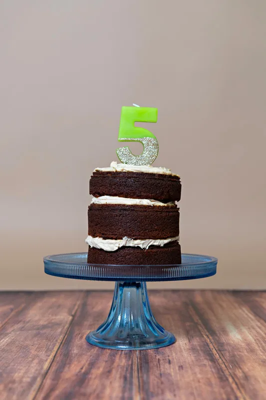 color photo of a dog birthday cake with a green number 5 candle against a brown backdrop. The photo was taken by Laura Pea Photography, a Long Island pet photographer. 