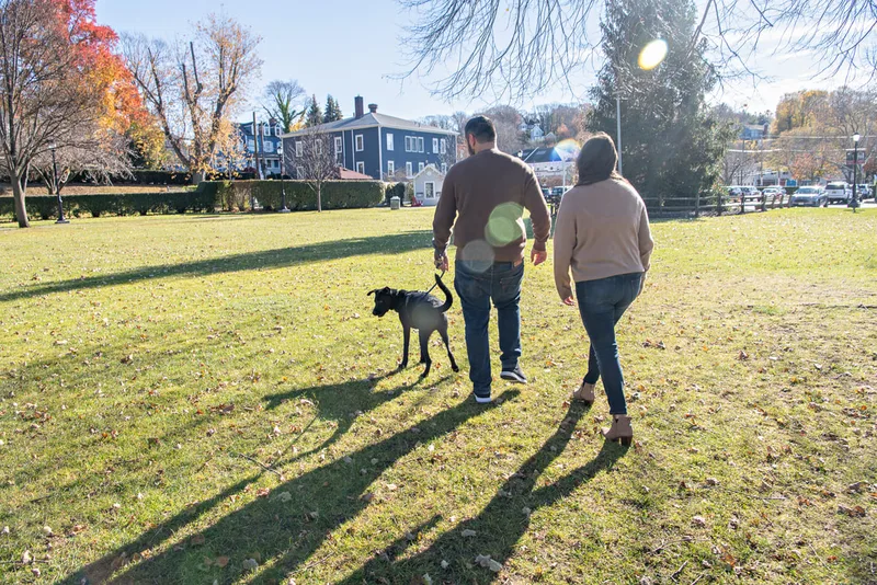 Color photo of a white man and women and their black labrador mix dog. The photo was taken by Laura of Laura Pea Photography, a Long Island based pet photographer. 