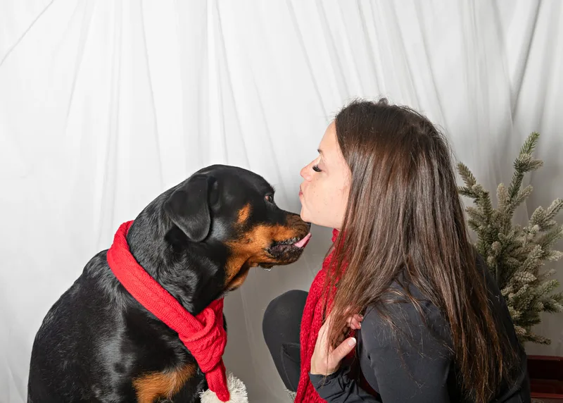 Color photo of a dog and owner in front of a white winter themed backdrop with pine tree props. The photo was taken at Barkfield Road in East Northport by Laura Paesano of Laura Pea Photography, a Long Island-based pet photographer. 