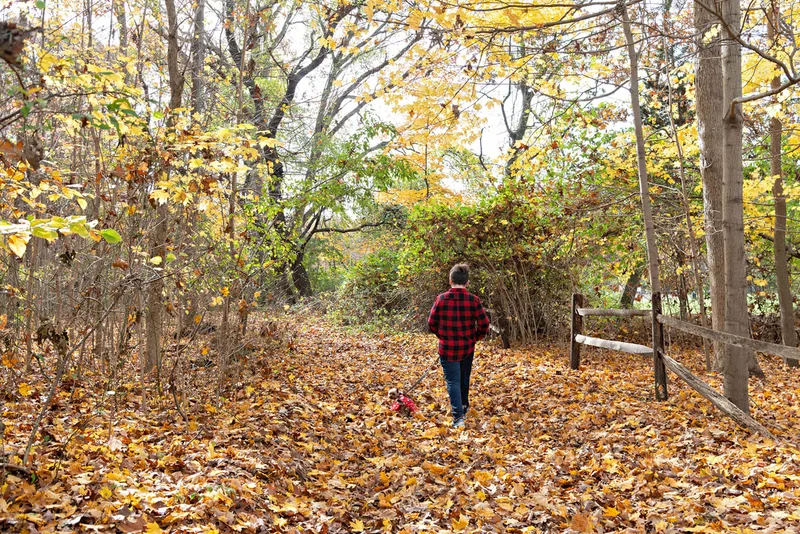 A photo of a Yorkshire "Yorkie" Terrier dog in a red Christmas dress in the woods amongst the fall foliage. She is walking away from the camera alongside her owner, a white teenage boy. The photo is by Laura Pea Photography, a Long Island based pet photographer. 