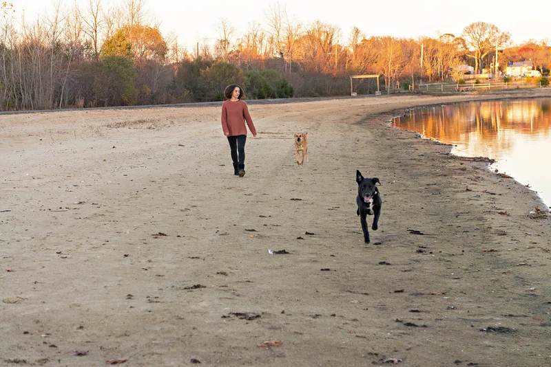 candid color photo of a teenage girl with a light brown shepherd mix dog and a black and white labrador mix dog walking and running on the sandy beach of Lake Ronkonkoma, toward the camera. Portrait taken by Long Island pet photographer Laura Pea Photography