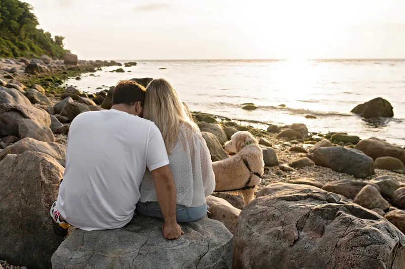 color photo of a golden doodle dog at a beach on Long Island. His owners sit with him on a large boulder as the sun set 