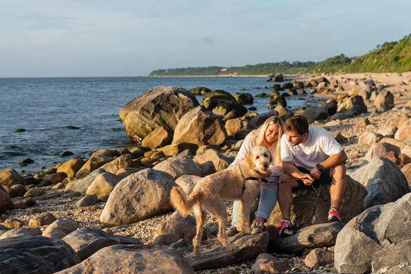 color photo of a golden doodle dog at a beach on Long Island. He's sitting with his owners among many boulders