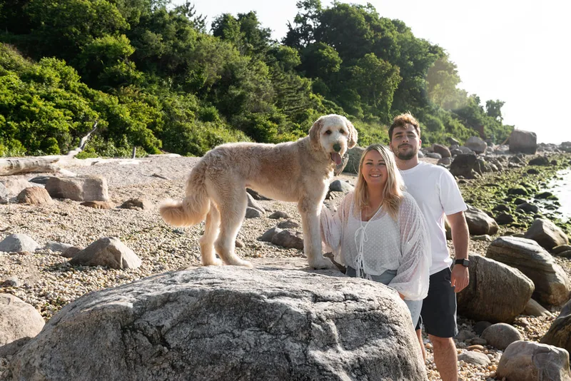 color photo of a golden doodle dog at a beach on Long Island. He's standing on a large boulder, as his owners stand on the ground beside it.