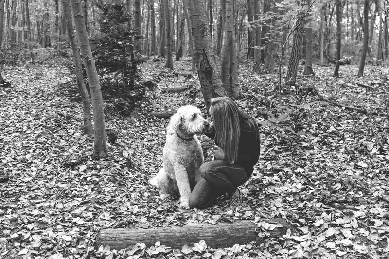black and white photo of a cream golden doodle dog on a forest trail with his owner