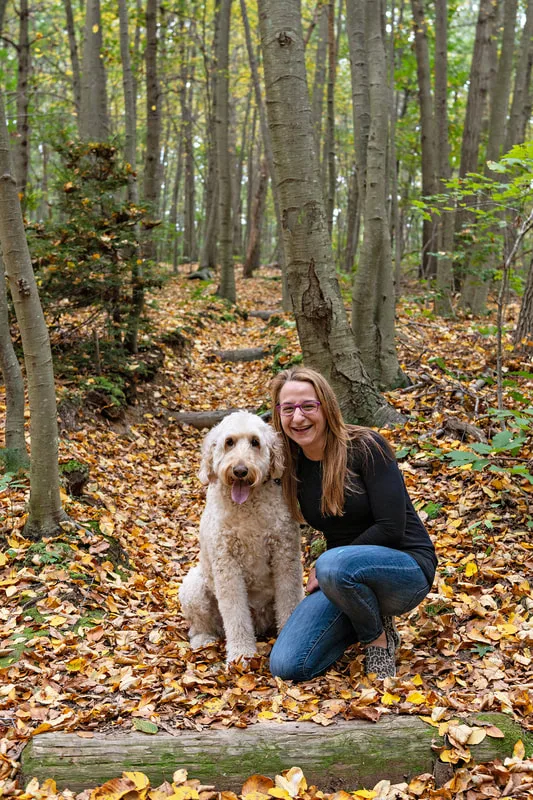 color photo of a cream golden doodle dog on a forest trail with his owner