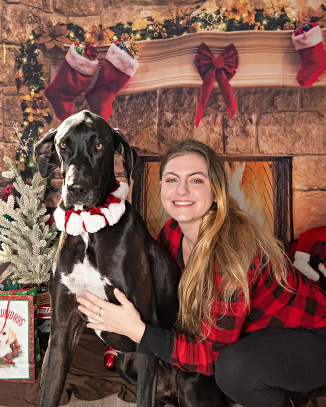 Color photo of a great dane mix dog posing in front of Christmas holiday props. The photo was taken at Pawcasso in Westhampton Beach by Laura of Laura Pea Photography, a Long Island based pet photographer. 