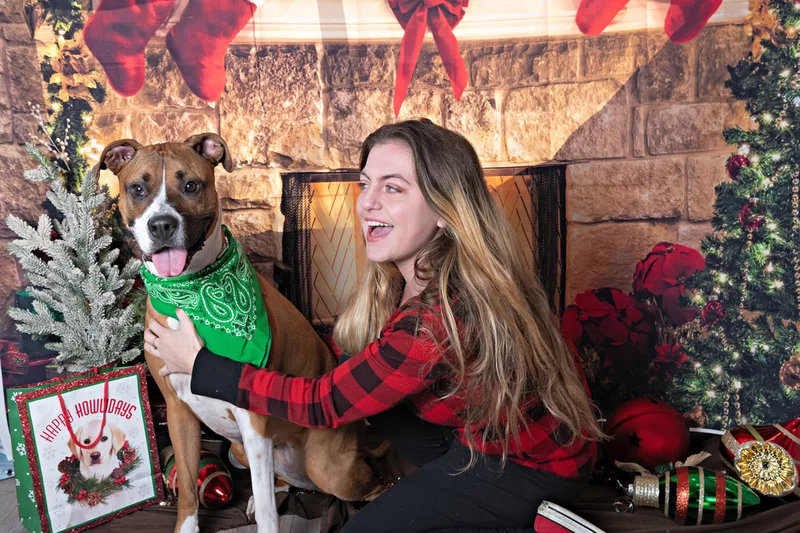 Color photo of a pitbull mix dog posing in front of Christmas holiday props. The photo was taken at Pawcasso in Westhampton Beach by Laura of Laura Pea Photography, a Long Island based pet photographer. 