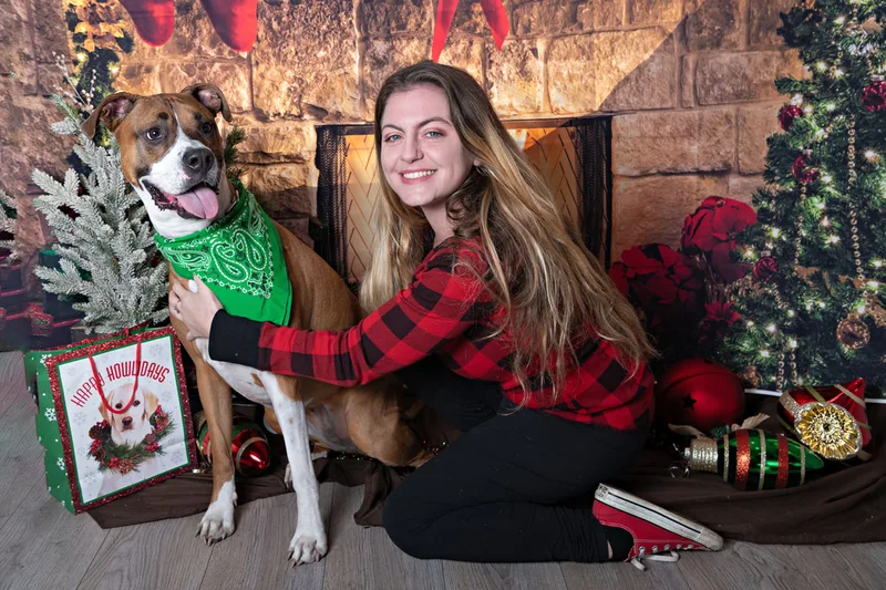 Color photo of a pitbull mix dog posing in front of Christmas holiday props. The photo was taken at Pawcasso in Westhampton Beach by Laura of Laura Pea Photography, a Long Island based pet photographer. 