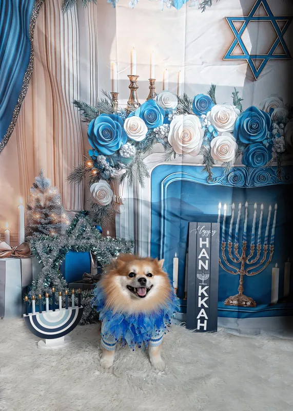 Color photo of a Pomeranian dog posing in front of Hanukkah holiday props. The photo was taken at Pawcasso in Westhampton Beach by Laura of Laura Pea Photography, a Long Island based pet photographer. 