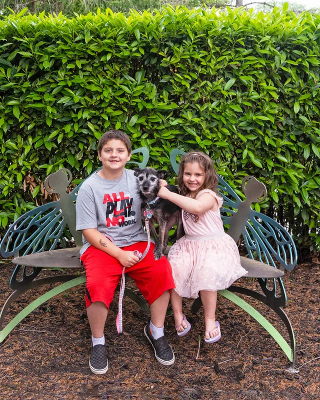 A color photo of a terrier mix with a boy and a girl sitting on a bench. The photo was taken by pet photographer Laura Paesano of Laura Pea Photography for a pet portrait program held by the Middle Country Public Library in their outdoor Nature Explorium. 