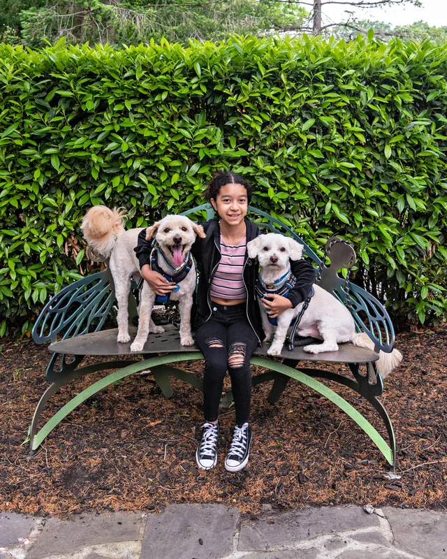 A color photo of a girl with two dogs sitting on a bench. The photo was taken by pet photographer Laura Paesano of Laura Pea Photography for a pet portrait program held by the Middle Country Public Library in their outdoor Nature Explorium. 