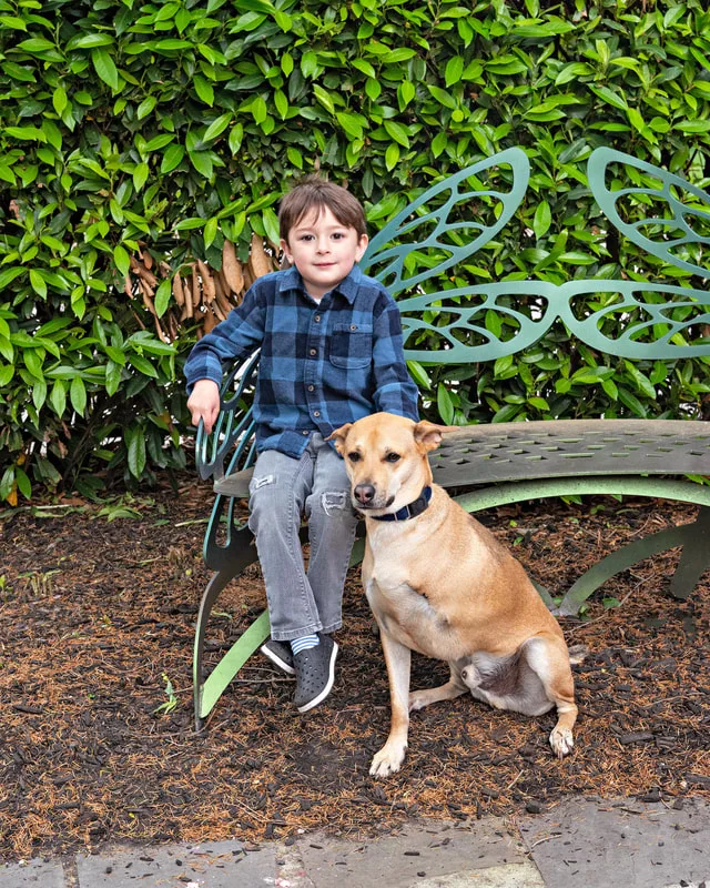 A color photo of a little boy and a Thai ridgeback dog with three legs sitting on a bench. The photo was taken by pet photographer Laura Paesano of Laura Pea Photography for a pet portrait program held by the Middle Country Public Library in their outdoor Nature Explorium. 